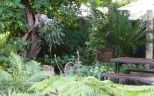 Our Gardens