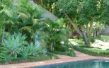 Our Swimming Pool